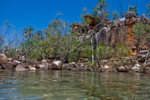 Rock Pool Drysdale River