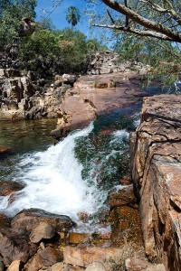 Top Waterfall Drysdale River