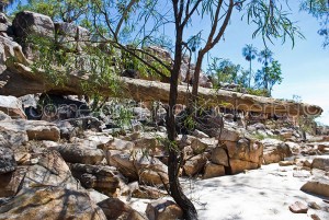 Log left behind by receding Drysdale River