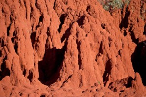 pindan soil of the kimberley