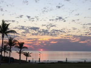 Cocktail drinks at Cable Beach Club
